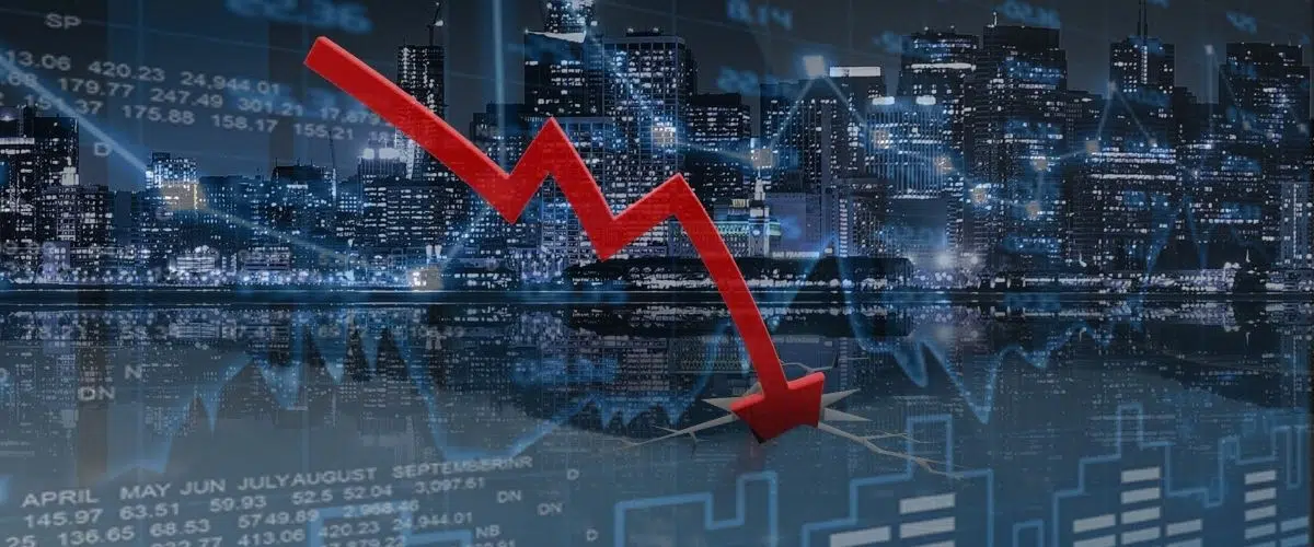 Volatility and Long Term Investors