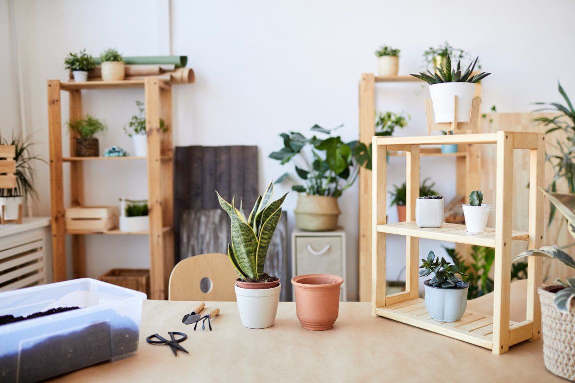 How to select the right buy to let mortgage provider